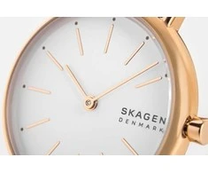 Laikrodis Damski SKAGEN Signatur SKW2838 + BOX