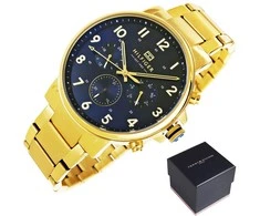 Vyriškas laikrodis TOMMY HILFIGER 1710384 DANIEL (zf054a)
