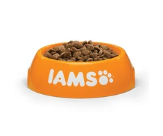 IAMS Kitten (vištiena) 3kg