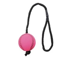 TRIXIE Sport kamuolys su virve, plūduriuojantis, putų guma, ø 6-30 cm