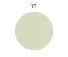 Silicone Color 17, 310 ml hermetikas silikoninis antipelėsinis