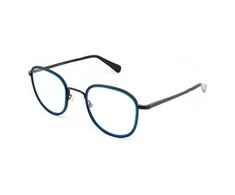 Akiniai HARRY LARYS PHONY-384. Akiniai, Kolor mėlyna. Unisex.