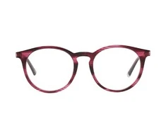 Akinių rėmas moterims WEB EYEWEAR WE5240 50083