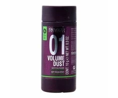 "Salerm Cosmetics 01 Volume Dust Matifying Powder plaukus modeliuojantys milteliai 10g
