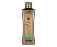 Atstatantis šampūnas Biokera Arganology Salerm Argano aliejus (300 ml)