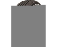 Vasarinės padangos Tracmax X-Privilo TX1 205/50 R16 91 W XL (C B A 69dB)