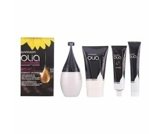 Garnier Olia Permanent Coloring 4,0 Brown plaukų dažai