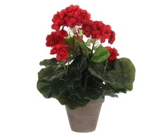 Edelman Dirbtiniai augalai vazonėlyje 34cm pelargonijos/raudon.