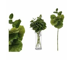 Ibergarden Dekoratyvinis augalas Paklodės Plastmasinis (75 cm)
