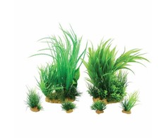Zolux augalų dekoracija akvariumui Plantkit Jalaya, modelis 1