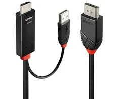 Adapterio Kabelis - LINDY HDMI į Ekranas Port 4K60Hz Adapterio Kabelis, 4096x2160, 21.6GB/s, 2 m, Juodas