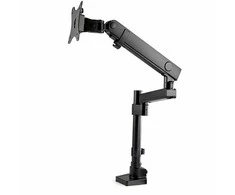 StarTech Laikiklis biurkowy na monitorius 17" - 34" (ARMPIVOT2USB3)