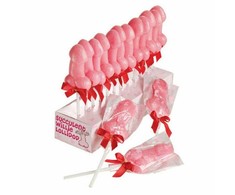 Spencer Fleetwood Candyprints Succulent Novelty Lollipop 35g - Fun Sweet Treat