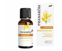 Pranarôm Diffusion Bio Eco Wellness At Home eterinių aliejų mišinys 30ml