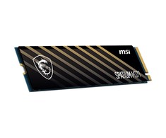 Kietasis diskas - MSI SPATIUM M371 500 GB NVMe M.2 PCIe 3.0