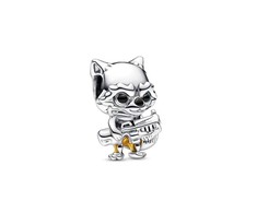 Charms Pandora 792563C01
