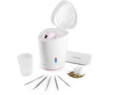 Veido garintuvas Lanaform Luxury Facial Steamer