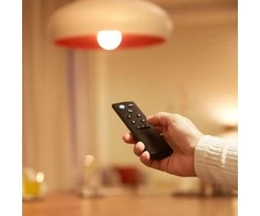 Nuotolinio valdymo pultas Wiz IP20 Wi-Fi