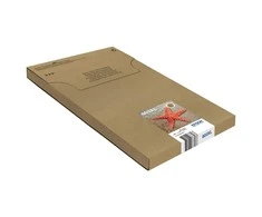 Epson 603XL EasyMail "Starfish" Ink Multipack (4 spalvos)