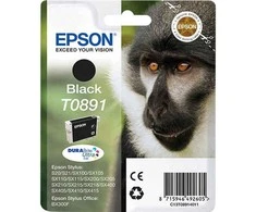EPSON T0891 juodos spalvas rašalinė