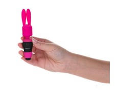 PalmPower - Pocket Extended