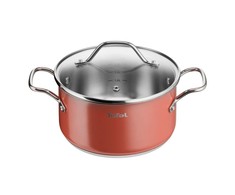 Tefal TRADICINIS NERŪDIJANČIO PLIENO NELIPAUS PUODAS 2,9L 20cm