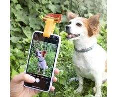 Selfie spaustukas naminiams gyvūnėliams Pefie InnovaGoods