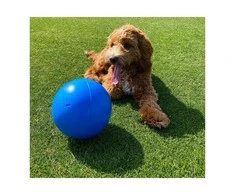 Boomer Ball Šuns žaislas Company of Animals Boomer Mėlyna (200mm)