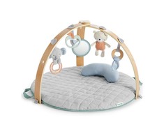 Ingenuity Toys INGENUITY veiklos kilimėlis Cozy Spot, 12126