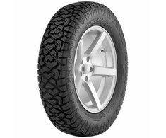 Vasarinės padangos Radar Renegade Classic 145/80 R13 74 Q
