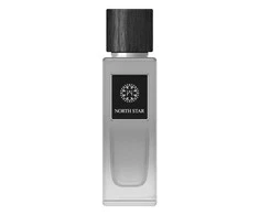 The Woods Collection North Star EDP parfumuotas vanduo vyrams, 100 ml