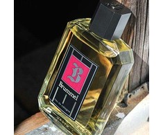 Vyrų kvepalai Puig Brummel EDC (500 ml)