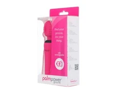Power Bullet „PalmPower Groove Mini“ lazdelės formos šveitiklis
