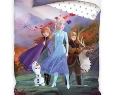 Patalynės komplektas FROZEN STORY, 140x200 cm