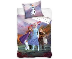 Patalynės komplektas FROZEN STORY, 140x200 cm