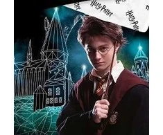 Patalynės komplektas HARRY POTTER SECRET, 140x200 cm