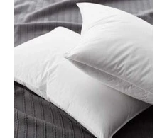 Saules Patalyne Pūkinė pagalvė su tiku EXCLUSIVE ULTRA (žąsų 90%-pūkų, 10%-plunksnų), 70x80 cm (1kg)