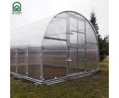 Meistro Kodas Šiltnamis Arkinis KLASIKA 3x10 m (30 m2) 4 mm danga