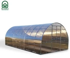 Meistro Kodas Šiltnamis Arkinis KLASIKA TUBE 3x10 m (30 m2) 4 mm danga