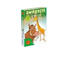Alexander Aleksandro kortų atminties žaidimas „Peter Cards“ – gyvūnai GR0808
