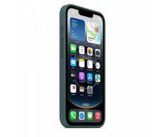 Apple iPhone 16e Silikoninis dėklas – Lake Žalias