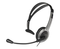 PANASONIC RP-TCA430E-S ausinės su mikrofonu,
