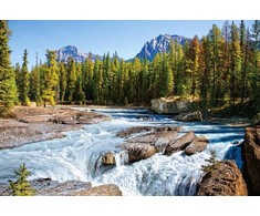 Castorland Dėlionė 1500 vnt. - Atabaskos upė, Jasper nacionalinis parkas, Kanada
