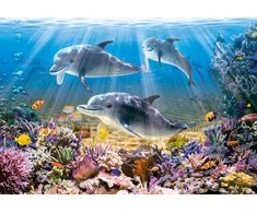 Castorland Dėlionė 500 vnt. - Delfinai po vandeniu