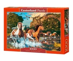 Castorland Dėlionė 1000 vnt. - Laukiniai arkliai