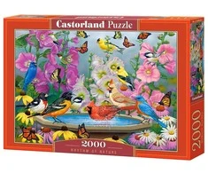 Castorland Dėlionė 2000 vnt. - Gamtos harmonija