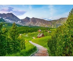 Castorland Dėlionė Trail In Tatras, Poland 500 Det