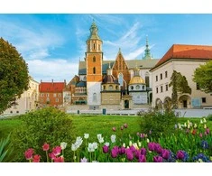 Castorland Dėlionė 500 vnt. - Vavelio karališkoji pilis Krokuva, Lenkija