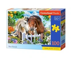 Castorland Dėlionė 100 vnt. - Geriausi draugai