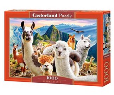 Castorland Dėlionė 1000 vnt. - Lamos